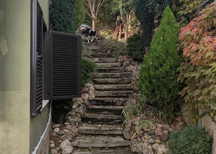 La Casa Del Con Vistas A Montañas