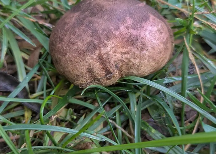 Chalet La Casa Del Con Vistas A Montañas